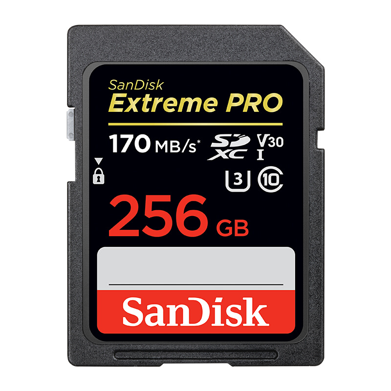 闪迪（SanDisk）256GB SD存储卡 U3 C10 V30 4K至尊超极速版数码相机内存卡 读速170MB/s 写速90MB/s